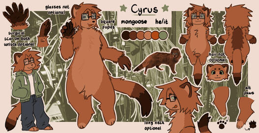 Flat Front + Mirrored Back, Extra Full, Unique Headshot, Chibi Full, Paws Closeup x2, Name/Pronouns/Species, Pre-Existing Picture Background