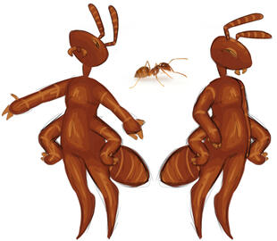 Unique Front + Front, Pre-Existing Picture